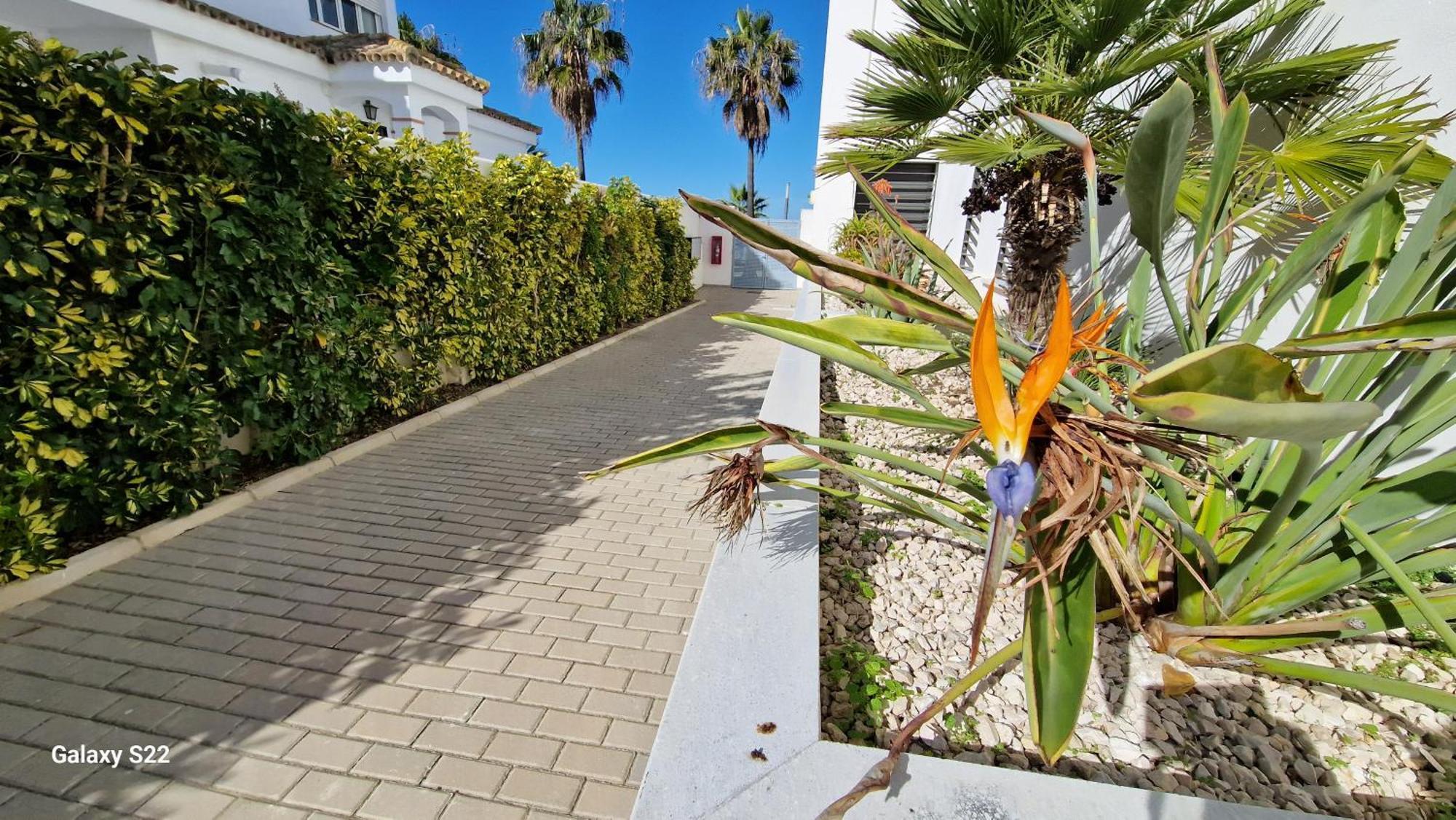 Apartmán Boutelou Playa Con Vistas Al Mar Sanlúcar de Barrameda Exteriér fotografie